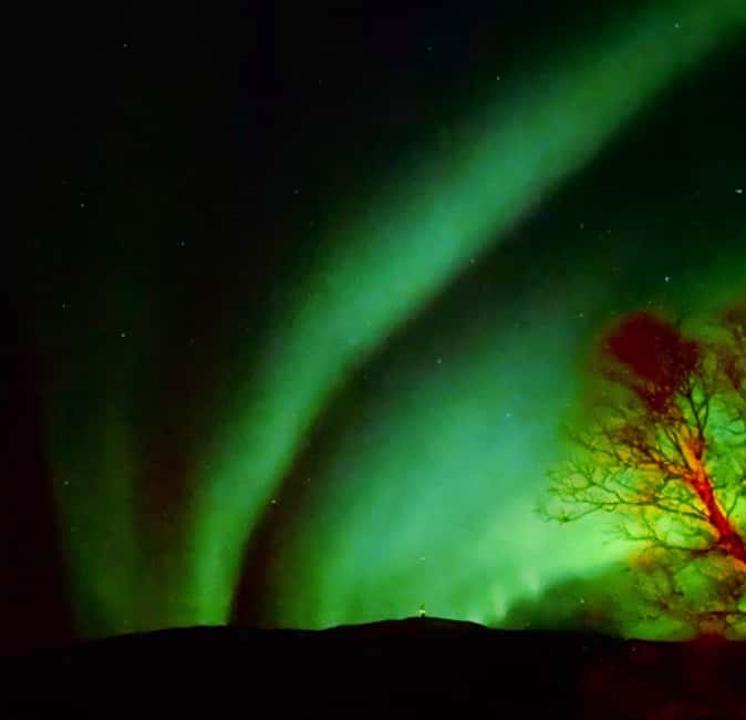 Tromsø: Northern Lights Chase — Small Group Experience - What happens at the viewing stops (and why it feels calmer)