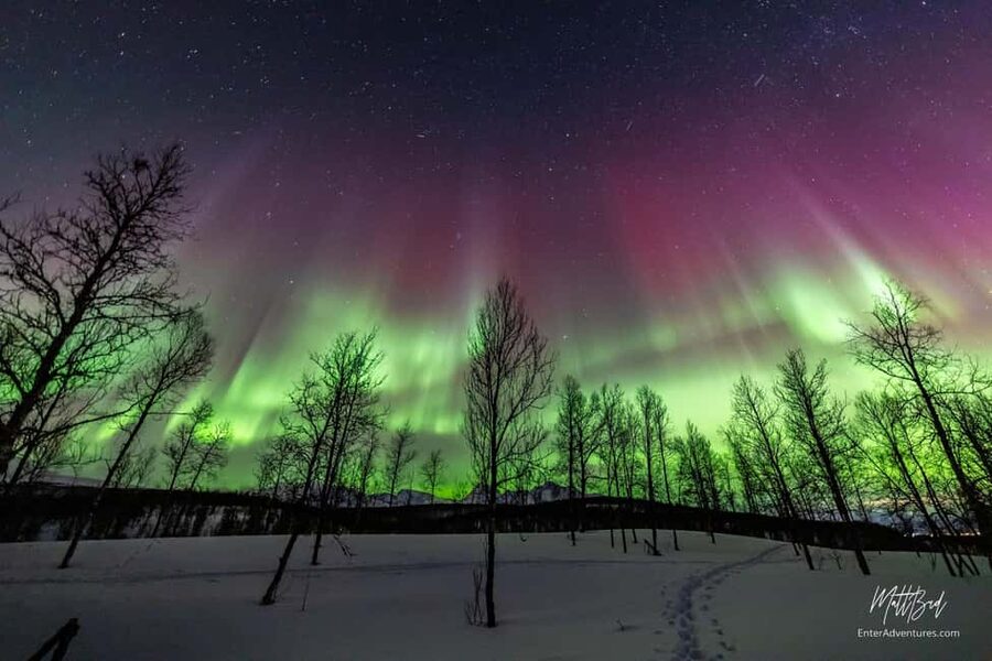Tromsø: Northern Lights Chase with Expert Guides & Photos - Itinerary in Plain English, What You Do for Each Chunk of Time