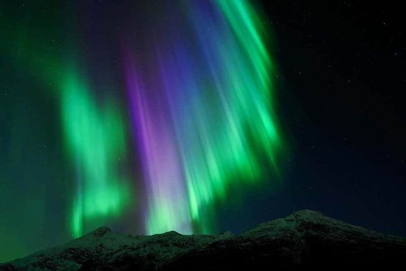 Tromsø: Northern Lights Chase with Local Guide & Free Photos - Key things that make this tour worth your attention