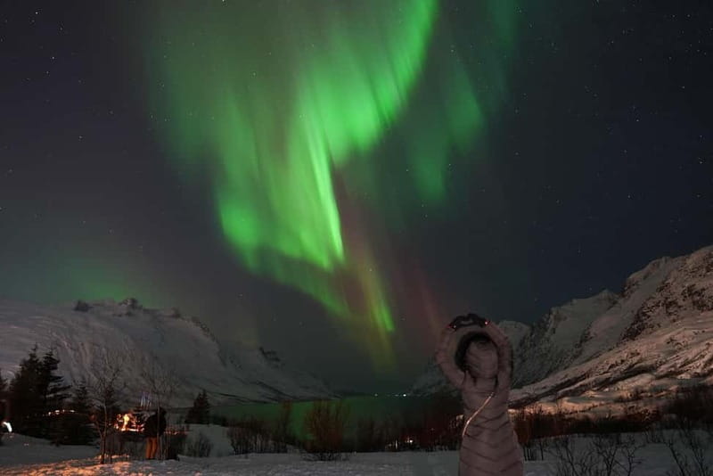 Tromsø: Northern Lights Chase with Local Guide & Free Photos - Unlimited distance coverage and flexible duration: how long is long enough?
