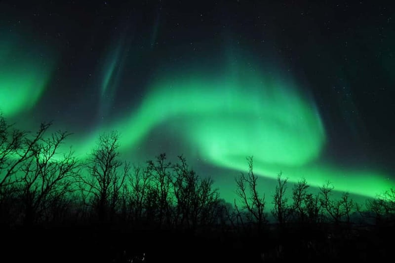 Tromsø: Northern Lights Chase with Local Guide & Free Photos - Logistics that affect your night: group size, transport comfort, and Wi-Fi