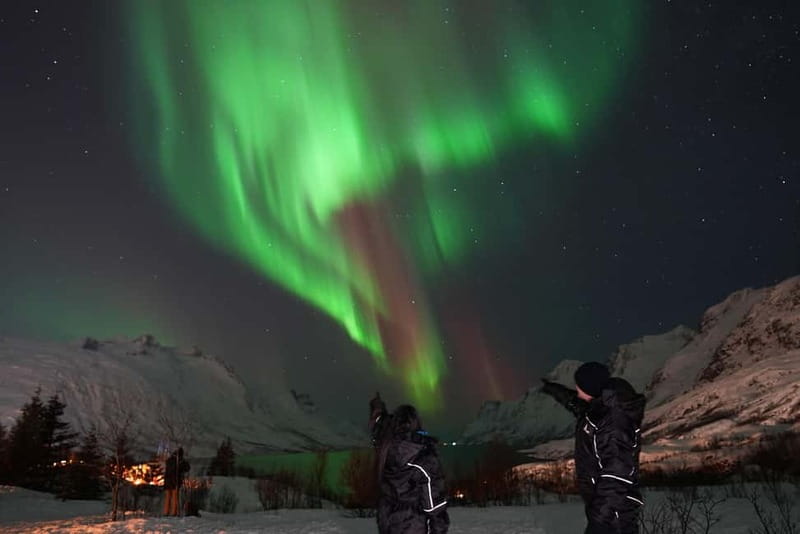 Tromsø: Northern Lights Chase with Local Guide & Free Photos - Price and value: what $136 buys you in the Arctic