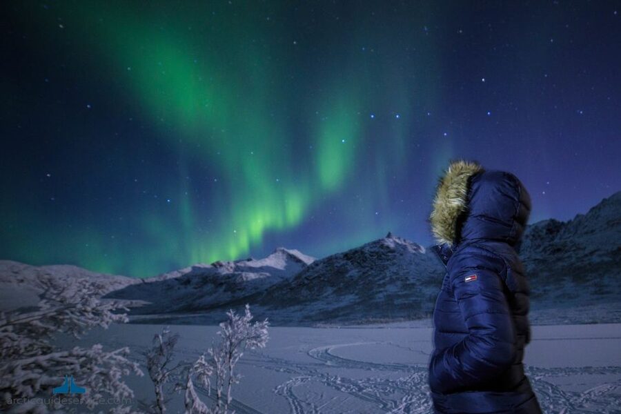 Tromso: Northern Lights Chase with Photo Package Included - Should You Book This Northern Lights Chase from Tromsø?