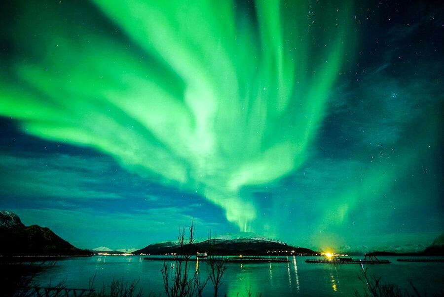 Tromsø: Northern Lights Chase with Photos and Bodysuits - When the aurora finally shows: the photographer moment and what you should do