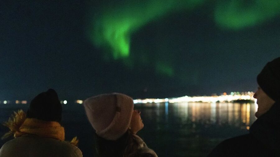 Tromsø: Northern Lights Cruise with 2nd Chance Guarantee - Who this Tromsø cruise is best for
