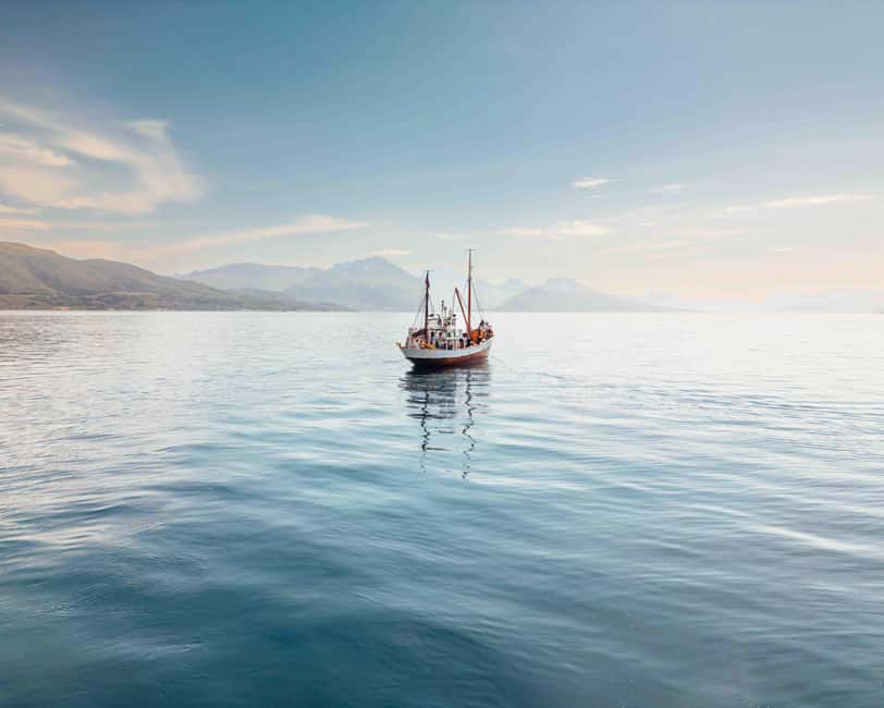 Tromsø: Northern Lights Dinner Cruise - What your 3 hours actually feel like onboard
