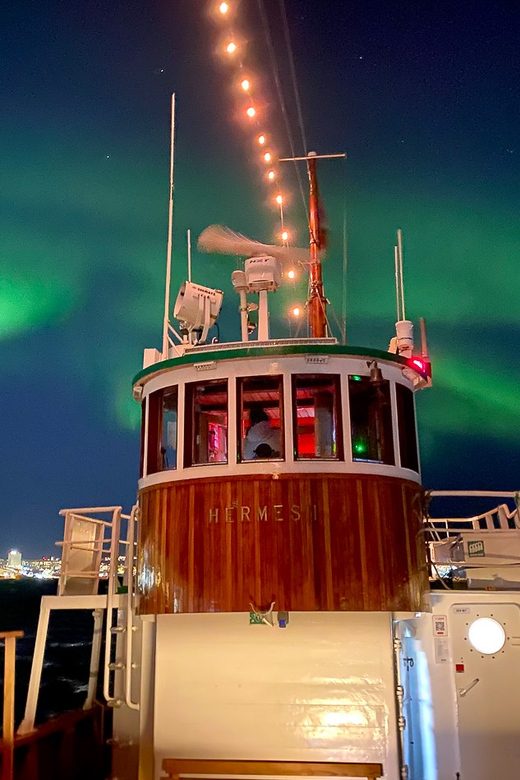 Tromsø: Northern Lights Dinner Cruise - Northern Lights, or the polar night glow: what you should expect
