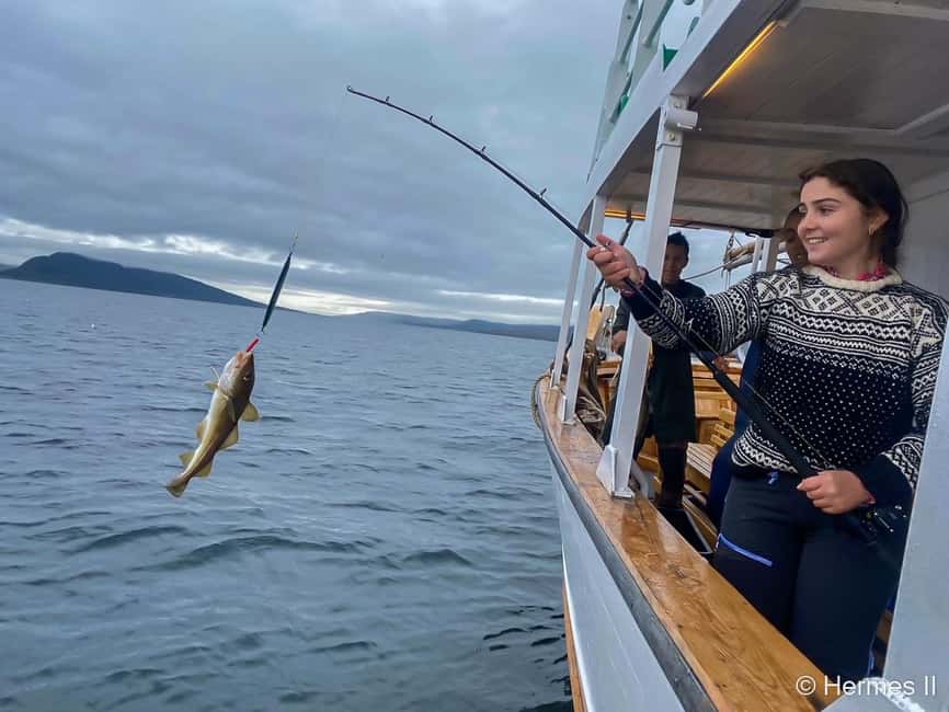 Tromsø: Northern Lights Dinner Cruise - Getting to the pier: where you meet Hermes II