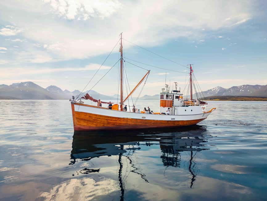 Tromsø: Northern Lights Dinner Cruise - The 3-course dinner from Dragøy, served the Arctic way