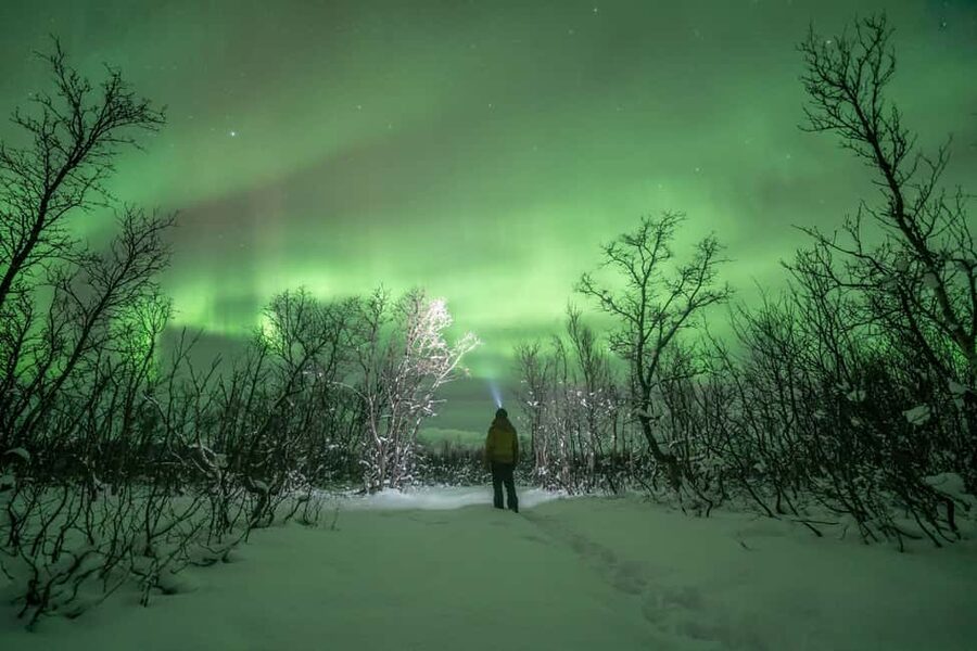 Tromsø: Northern Lights Hunt with Photos and Hot Food - FAQ
