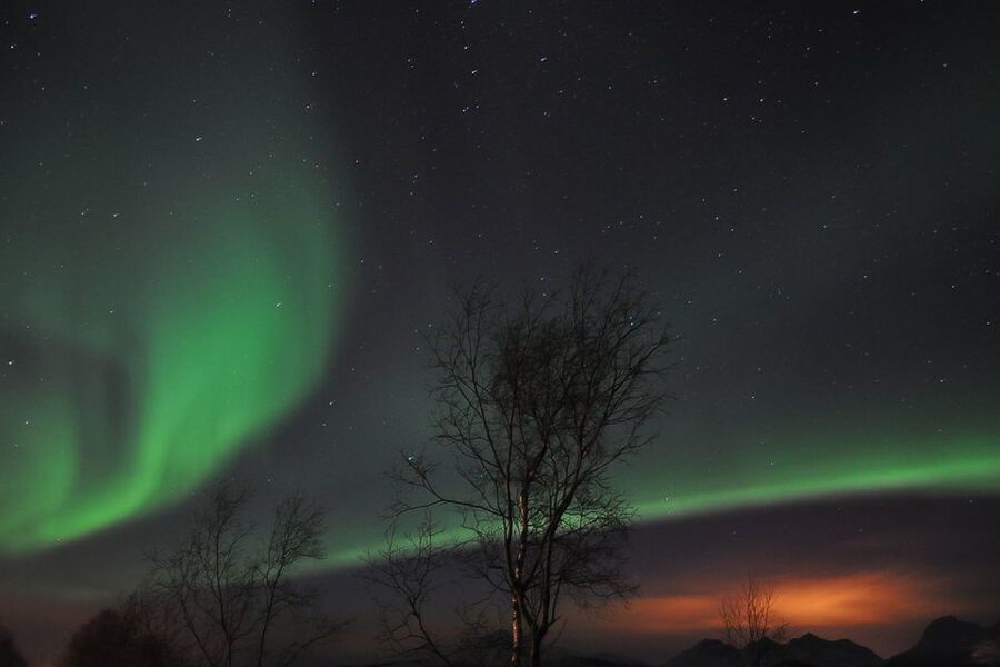 Tromsø: Northern Lights Husky Visit with Traditional Dinner - Why this Tromsø husky camp is a smart aurora plan