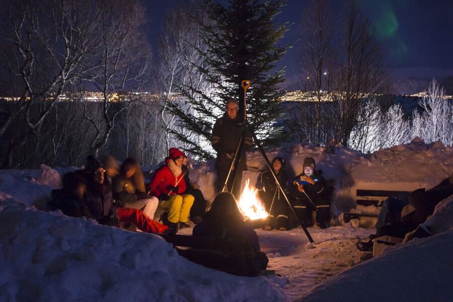 Tromsø: Northern Lights Husky Visit with Traditional Dinner - Cuddling over 200 huskies and puppies without the chaos