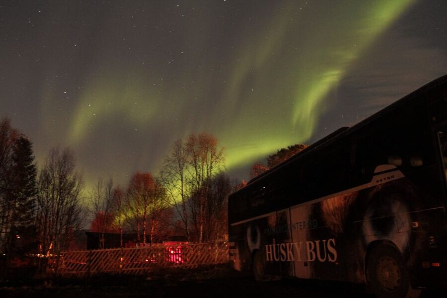 Tromsø: Northern Lights Husky Visit with Traditional Dinner - Price and value: is $187 per person reasonable?
