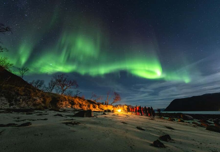 Tromsø: Northern Lights in a Minivan with Free Photos and a Hot Meal - Key Highlights You’ll Feel Immediately