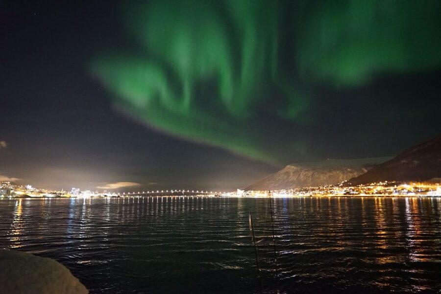 Tromsø: Northern Lights Luxury Catamaran Cruise - Price and value at $208 per person