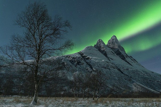 Tromso Northern Lights Minibus Chase Small Group Tour with Photos - Viewing by fire: what the evening feels like in real time