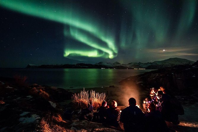 Tromso Northern Lights Minibus Chase Small Group Tour with Photos - Gear that makes the cold manageable, not miserable
