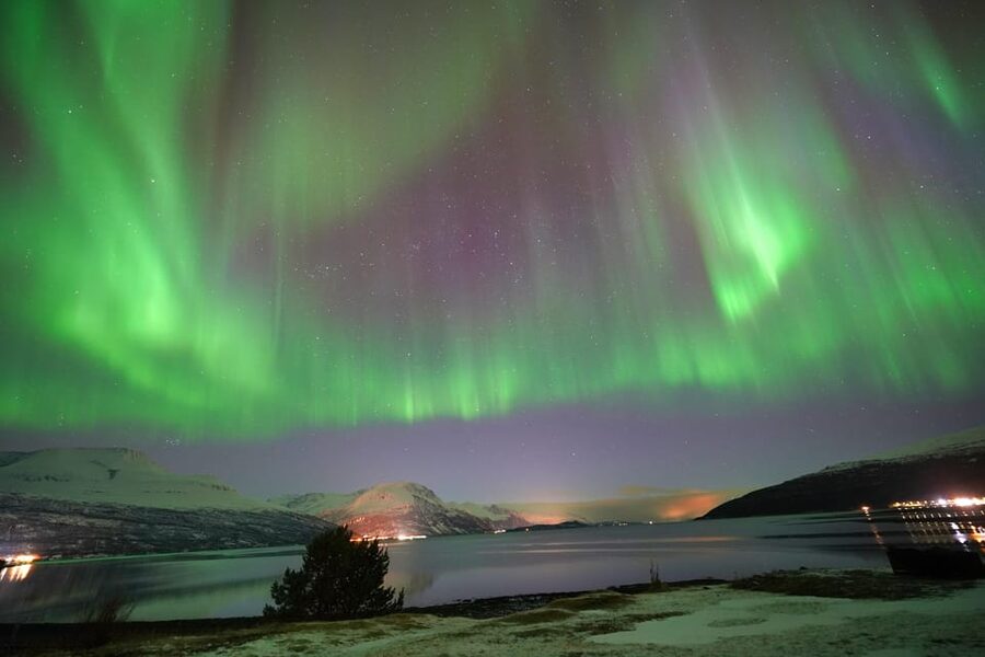 Tromso: Northern Lights Minibus Tour with Campfire - Where the Night Begins in Tromsø