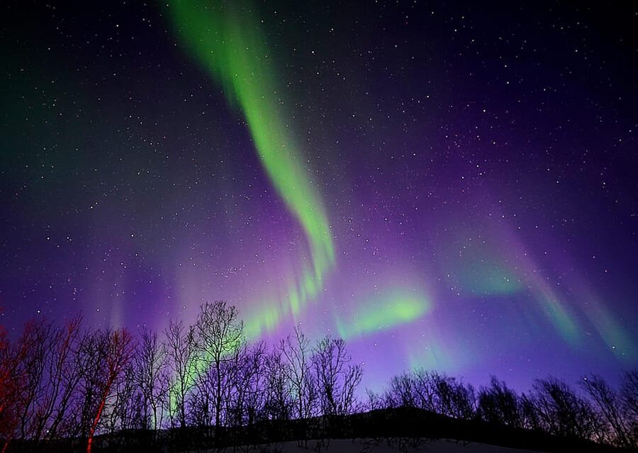 Tromso: Northern Lights Minibus Tour with Campfire - Staying Warm: Thermal Suits and What to Pack