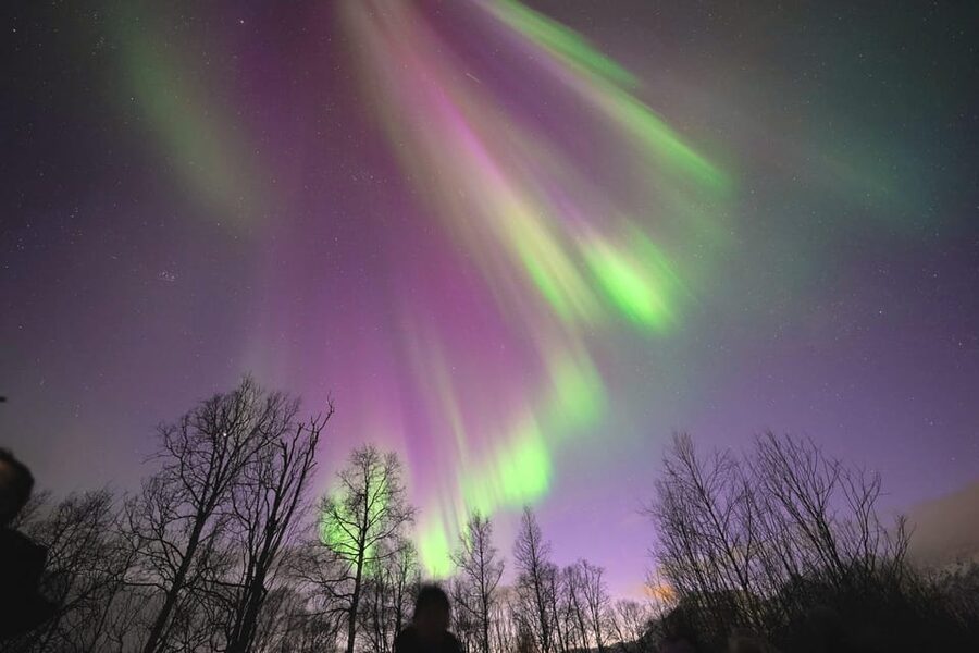 Tromso: Northern Lights Minibus Tour with Campfire - Campfire Comfort, Not Just a Photo Stop