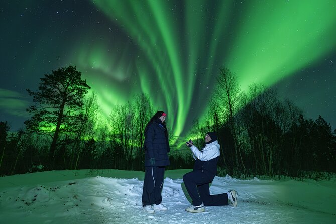 Tromsø: Northern Lights Minibus Tour with Expert Guides - Key things to know before you go