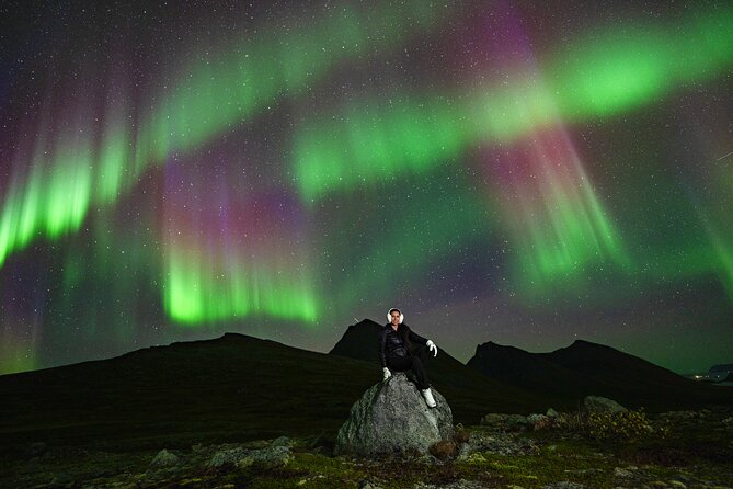Tromsø: Northern Lights Minibus Tour with Expert Guides - Tromsø at 7:00 pm, and why the minibus format helps