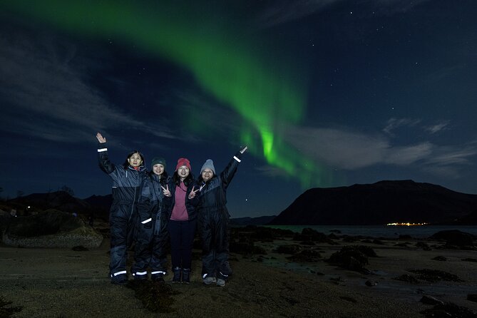 Tromsø: Northern Lights Minibus Tour with Expert Guides - Stop-by-stop feel: what you are doing during the Tromsø portion