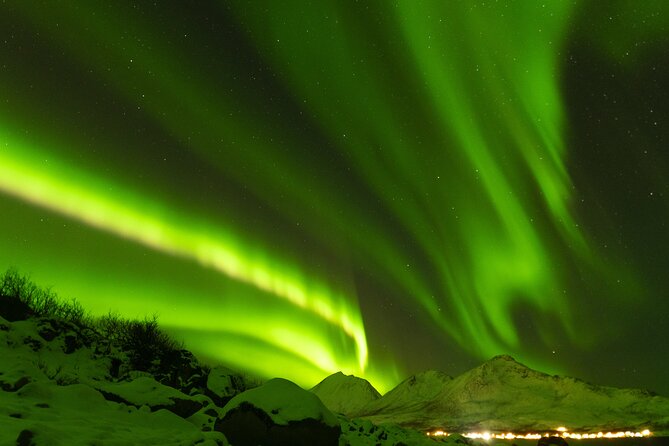 Tromsø: Northern Lights Minibus Tour with Expert Guides - Practical tips to improve your odds once you are there