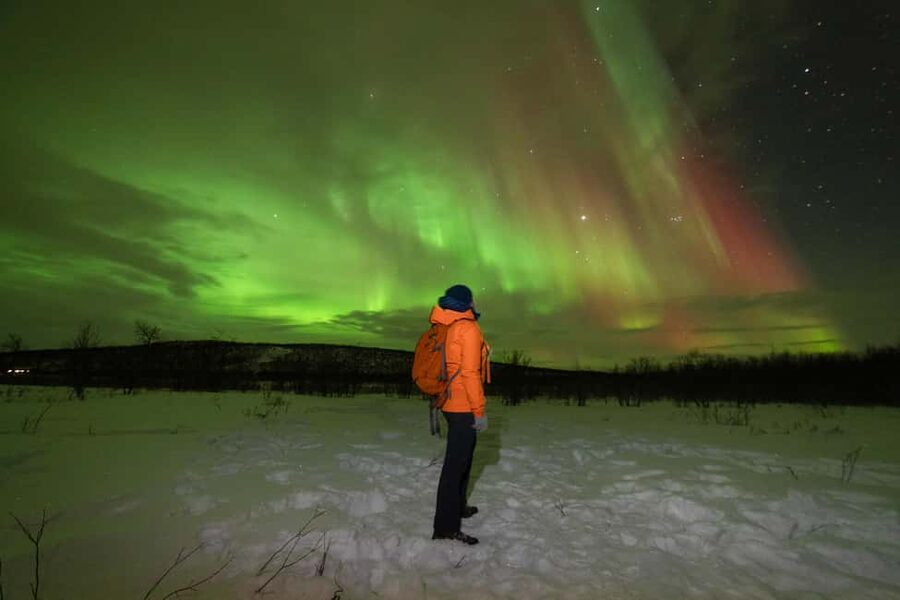 Tromsø: Northern Lights Minibus Tour with Local Experts - Key things I think you should care about