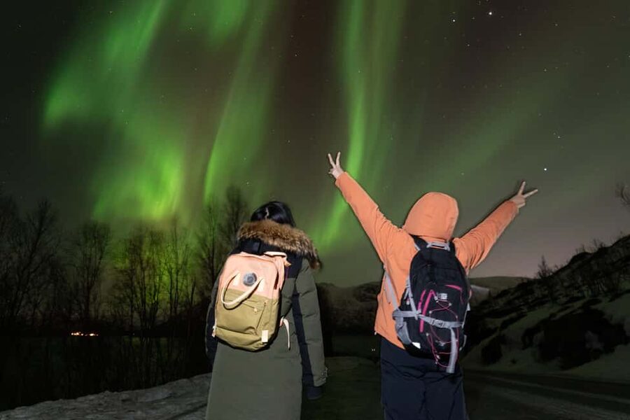 Tromsø: Northern Lights Minibus Tour with Local Experts - Photo Support Under the Aurora: What Comes With the Pro Shots