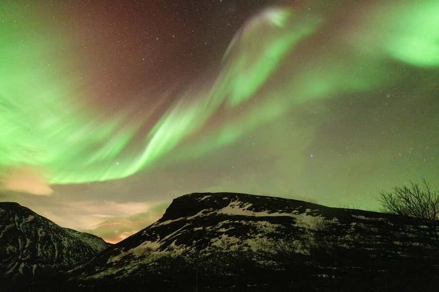 Tromsø: Northern Lights Minibus Tour with Local Experts - Price and Value: Why $116 Often Feels Like a Deal