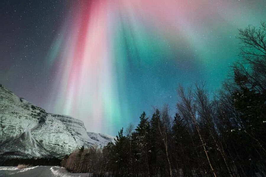 Tromsø: Northern Lights Minibus Tour with Local Experts - Who This Fits Best, and Who Might Be Better Off Elsewhere