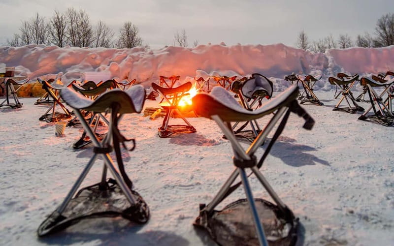 Tromsø: Northern Lights Safari with Expert Guides and Photos - The Arctic drive: warm transport, toilet breaks, and moving fast when skies shift