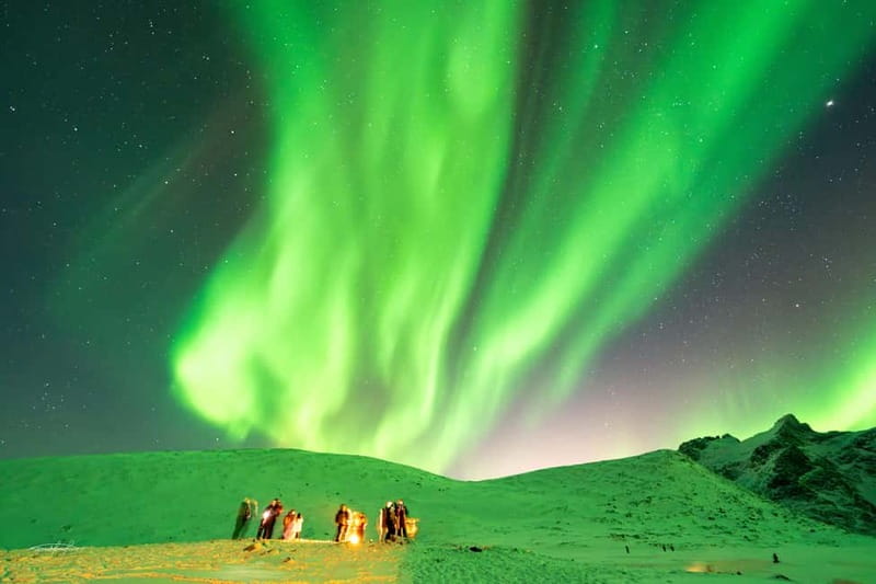 Tromsø: Northern Lights Safari with Expert Guides and Photos - Price and packing: what $61 buys you, and what you must bring yourself