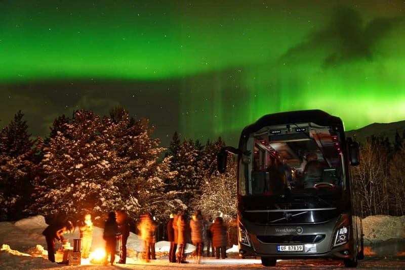 Tromsø: Northern Lights Safari with Expert Guides and Photos - Should you book this Tromsø Northern Lights safari?