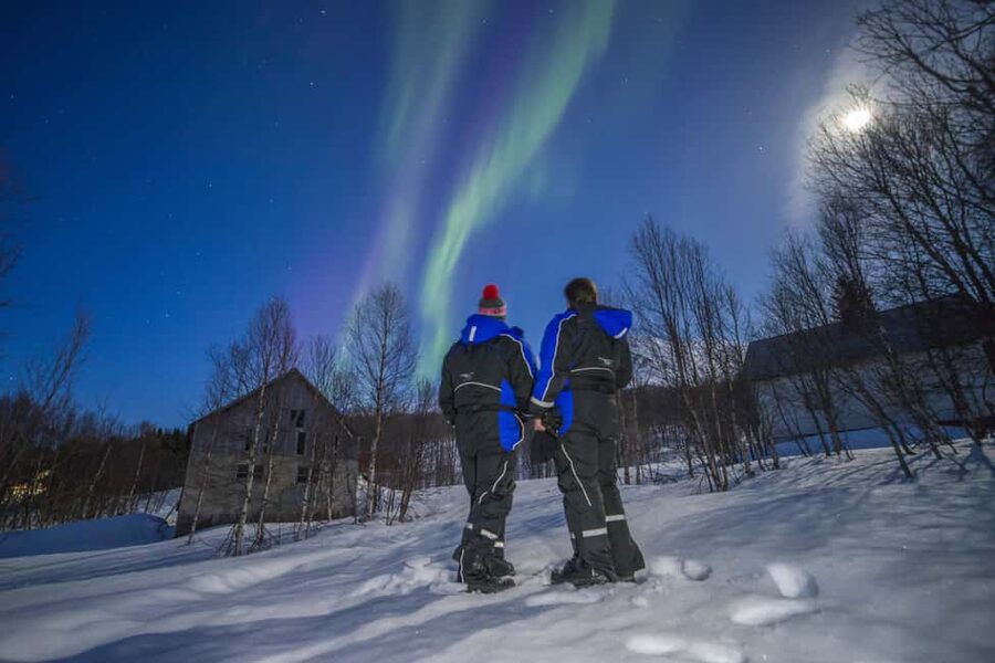 Tromsø: Northern Lights Tour in Glass Minibus with Dinner - Key things to know before you go
