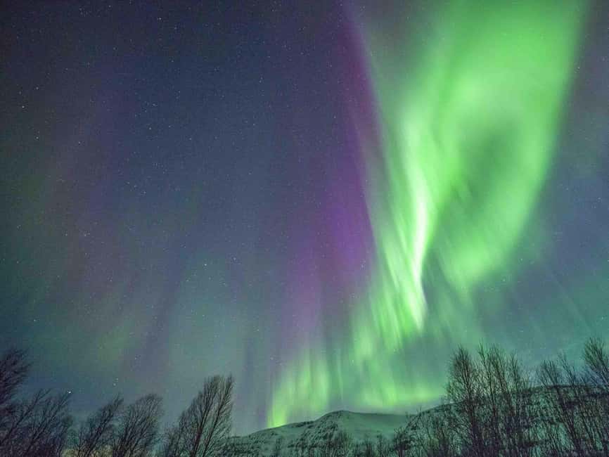 Tromsø: Northern Lights Tour in Glass Minibus with Dinner - The glass-roof minibus: comfort that helps you see