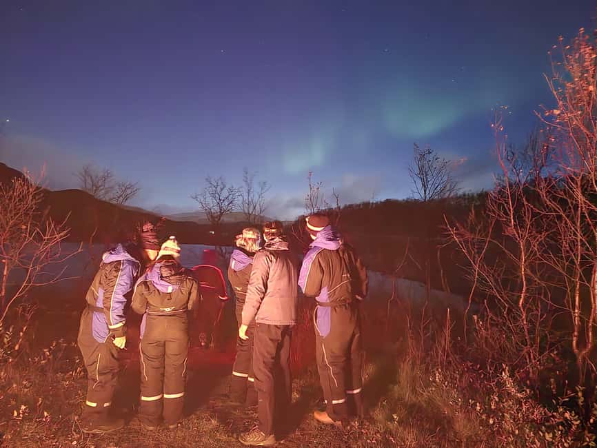 Tromsø: Northern Lights Tour in Glass Minibus with Dinner - Warmth, food, and what it feels like for families