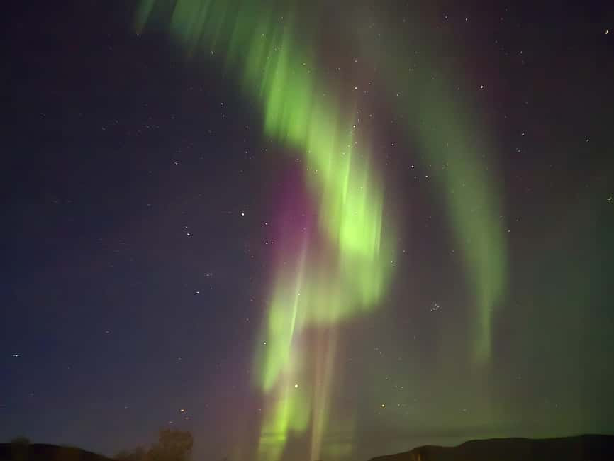 Tromsø: Northern Lights Tour in Glass Minibus with Dinner - Price and value: is $131 reasonable for 8 hours?