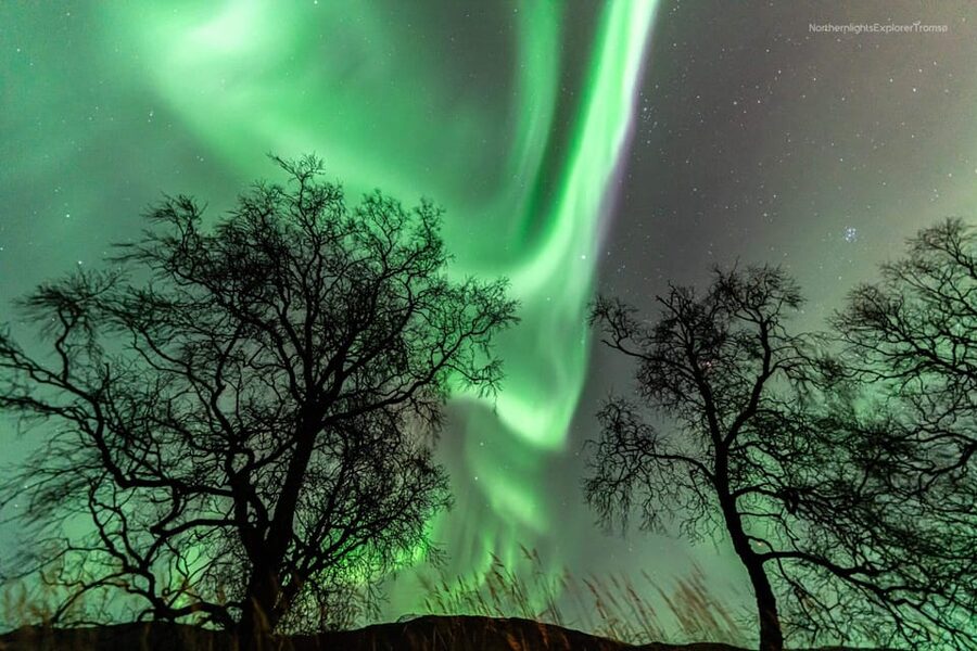 Tromsø: Northern Lights Tour w/Photo, Suits and Local Guide - Who should book this tour with Tom