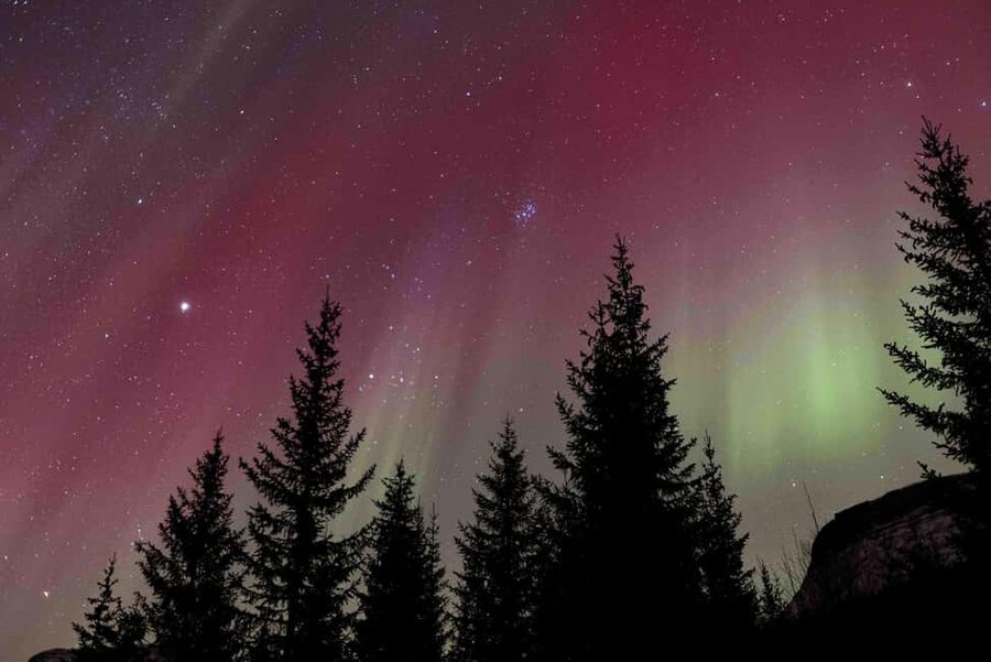 Tromsø: Northern Lights Tour with Dinner and Native Guide - The Campfire Routine: Survival Fire, Warm Food, and Sami-Style Hospitality