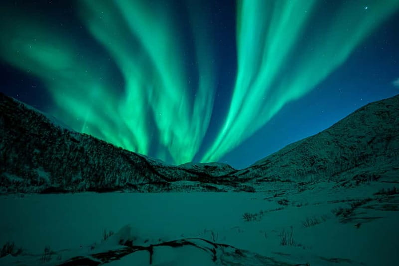 Tromsø: Northern Lights Tour with Hot Drinks and Snacks - Northern Lights in Tromsø, With Warmth Built In
