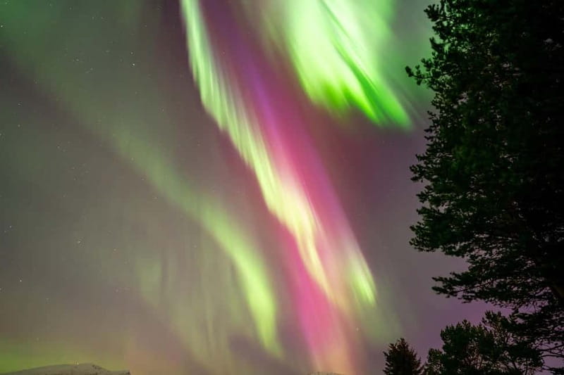 Tromsø: Northern Lights Tour with Hot Drinks and Snacks - Small Group Size Means Better Viewing, Better Photos, and Less Waiting Stress