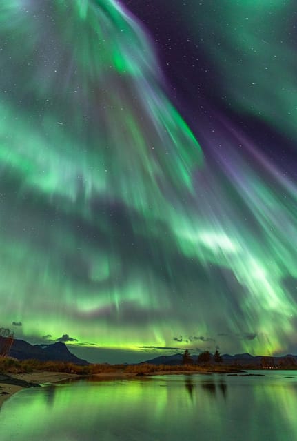 Tromsø: Northern Lights Tour with Local Guide and Photos - Key Points That Matter Before You Go