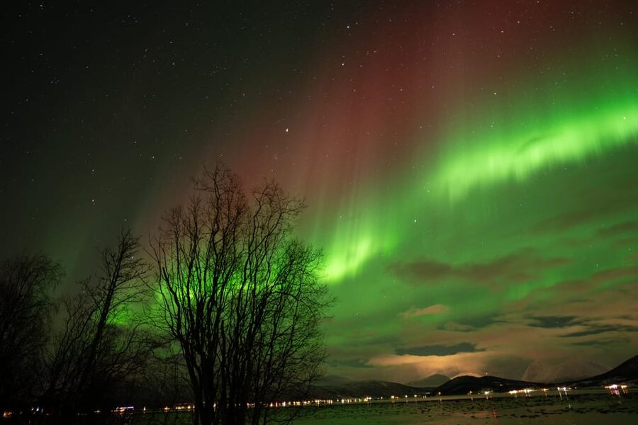 Tromsø: Northern Lights Tour with Local Guide and Photos - Restroom Stops, Timing, and How Late You Might Get Back