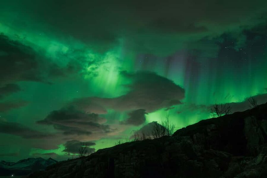Tromsø: Northern Lights Tour with Local Stories & Photos - The 50% second-night deal if the lights do not show