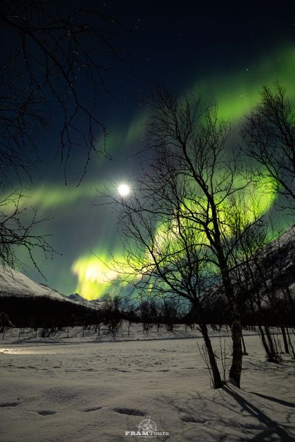 Tromso: Northern Lights Tour with Photographer - What happens while you watch: long waits, then bursts