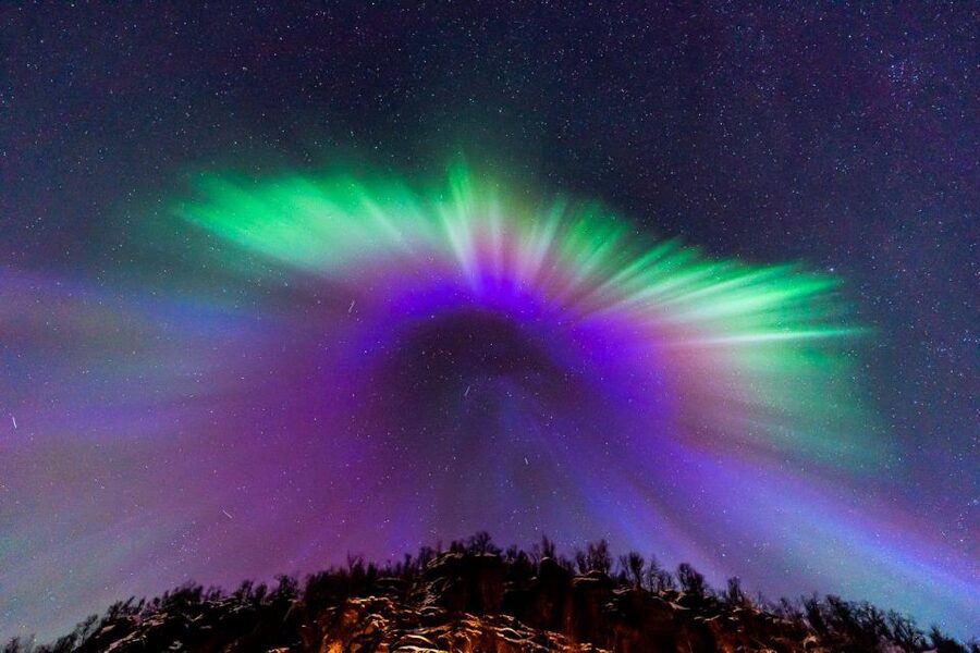 Tromsø: Northern Lights Tour with Photos, Hot Meal & Drinks - Key Points That Matter
