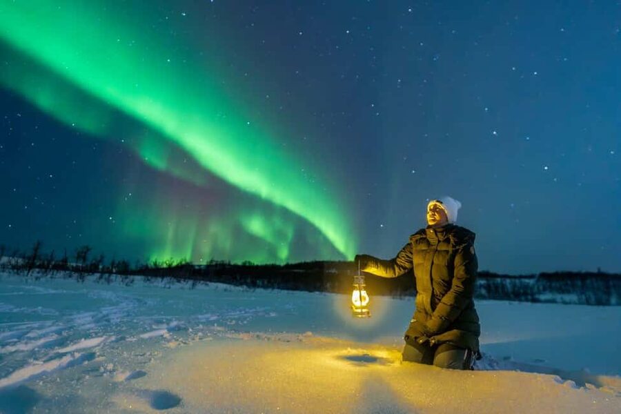 Tromsø: Northern Lights Tour with Photos, Hot Meal & Drinks - Price and Value: Why $229 Can Be Worth It Here