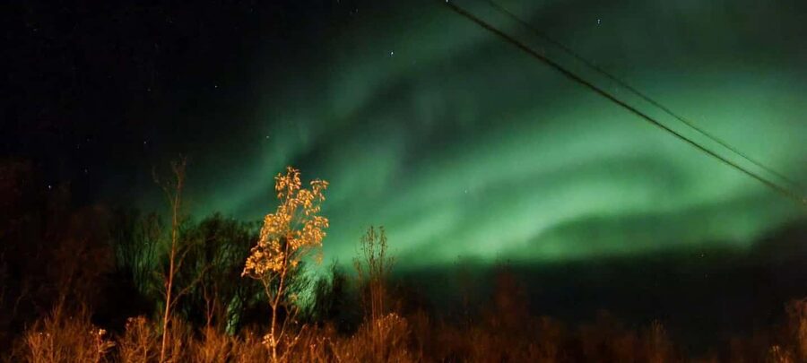 Tromsø: Northern Lights Tour with Photos & Snacks - Ersfjordbotn photo stop: first looks, warm drinks, and a calm start